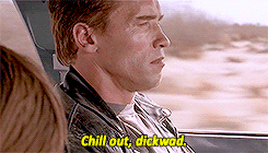 The Terminator saying "Chill out, dickwad."